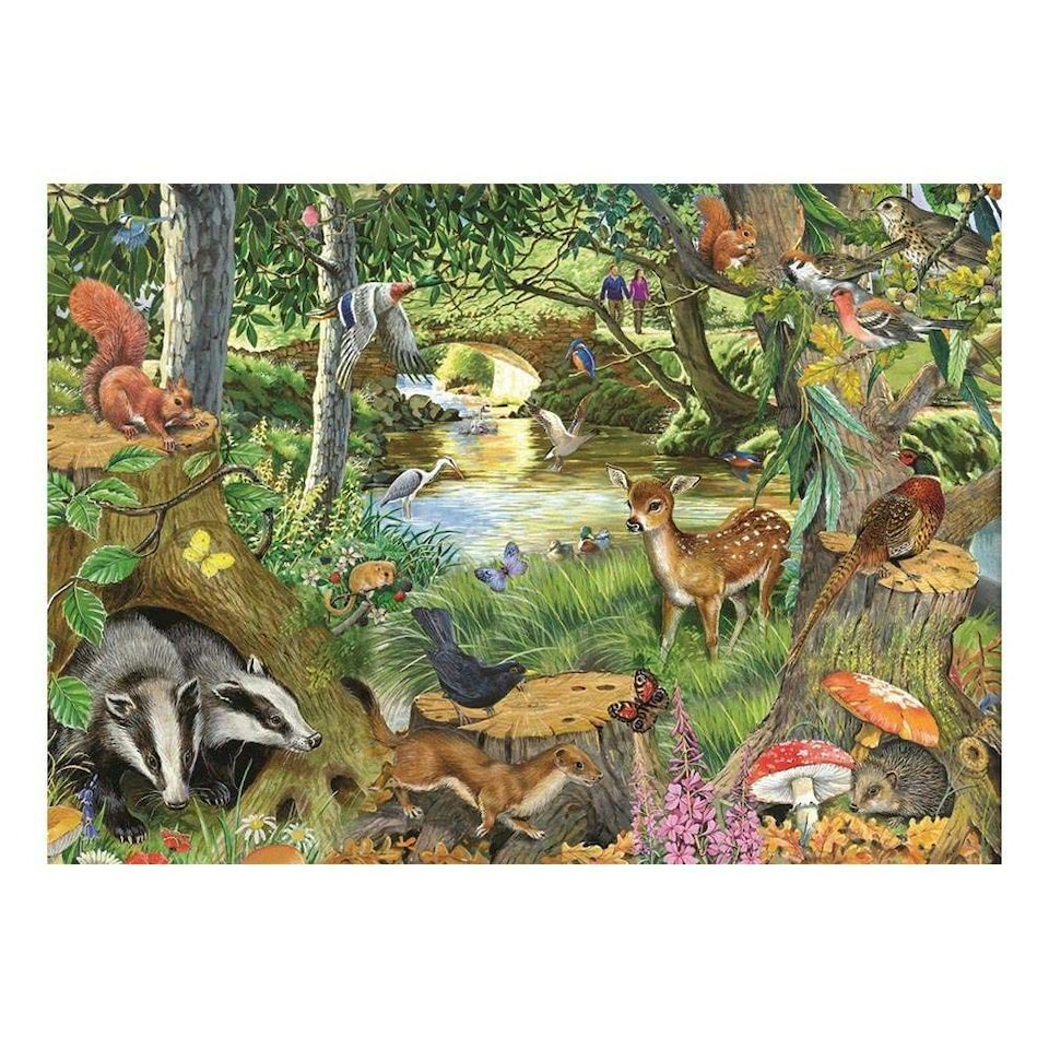 image 1 of The House of Puzzles, Riverside Glade - BIG 500 Piece Jigsaw Puzzle