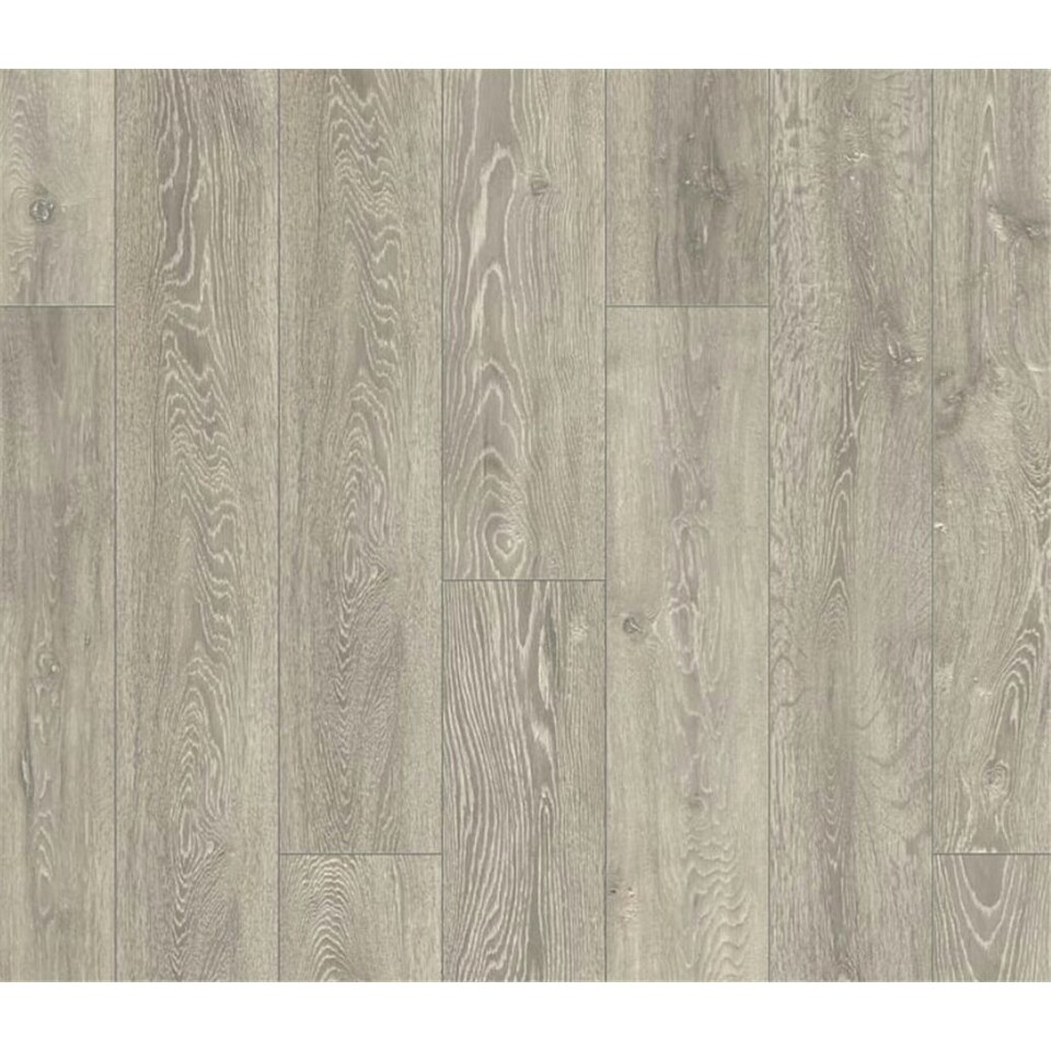 image 1 of PACK OF 10 (Total 10 Units) - Grey Oak 8mm Thick Laminate Flooring (22.2m2 Coverage)