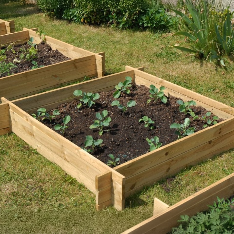 image 1 of 200L Chamberlain Garden Wooden Raised Grow Bed  100cm x 100cm
