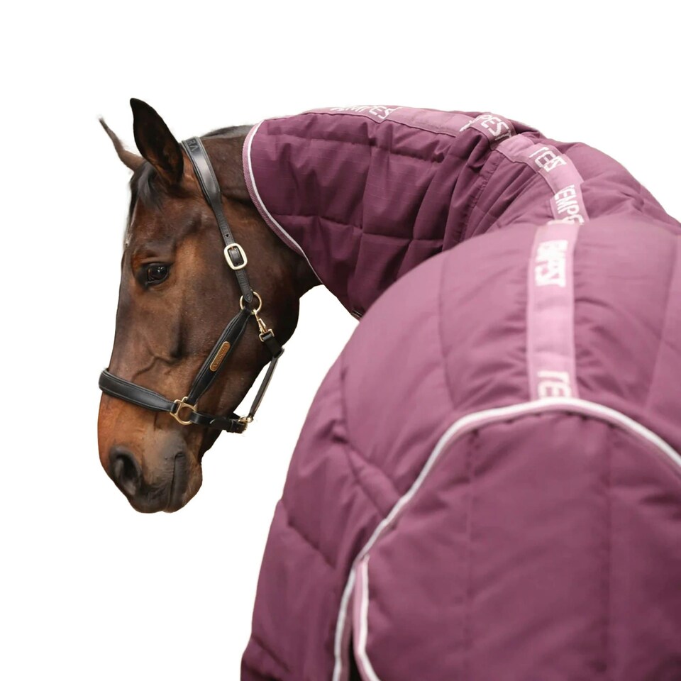 image 1 of Tempest Original Combo Neck Horse Stable Rug & Neck - Burgundy - 5´