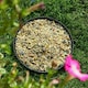 image 2 of Heavy Duty Black Mesh Metal Ground Wild Bird Feeder Feeding Tray 22cm