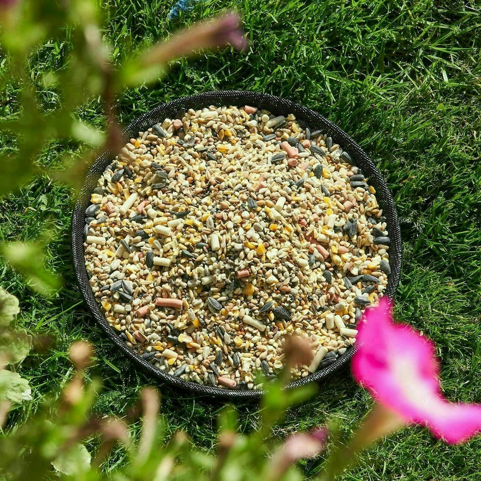 image 1 of Heavy Duty Black Mesh Metal Ground Wild Bird Feeder Feeding Tray 22cm