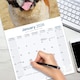 image 5 of Saint Bernard 2026 Calendar | Square Wall Calendar | Dog Breed Gift | Plastic Free Packaging | by Avonside Publishing