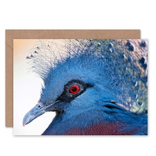 Animal Photo Bird Victoria Crowned Pigeon Birthday Card