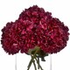 image 5 of Autumn Ruby Hydrangea Artificial Flower - Fabric/Plastic - L18 x W18 x H42 cm - Red - Single Stem
