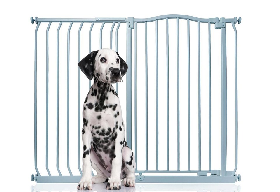 image 1 of Bettacare Extra Tall Curved Top Dog Gate, 116cm - 125cm, Matt Grey, Extra Tall 100cm in Height, Pressure Fit Pet Gate | Grey