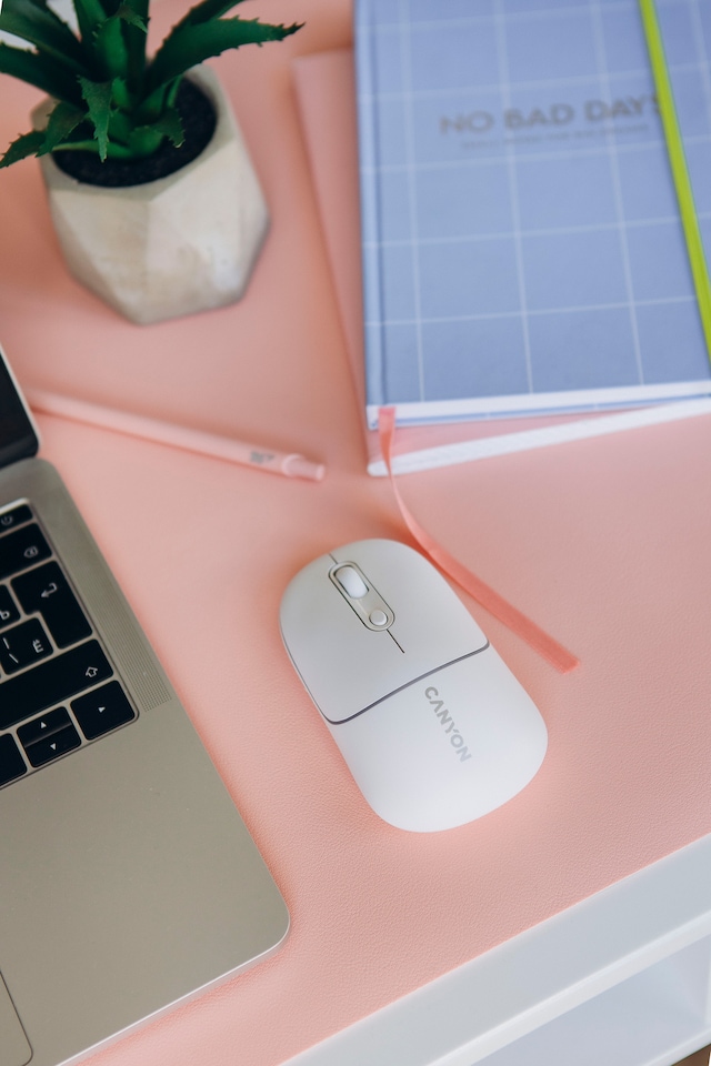 image 1 of Canyon Wireless  Mouse 2In1 BT MW-22 Snow White