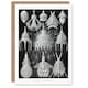 image 1 of Ernst Haeckel Art Card Crytoidea Marine Microorganisms