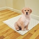 image 3 of 60 Sheets of 60x40cm 3 Highly Absorbent Layers Of Hygienic Easy To Dispose Leak Proof Dog Puppy Toilet Training Pads