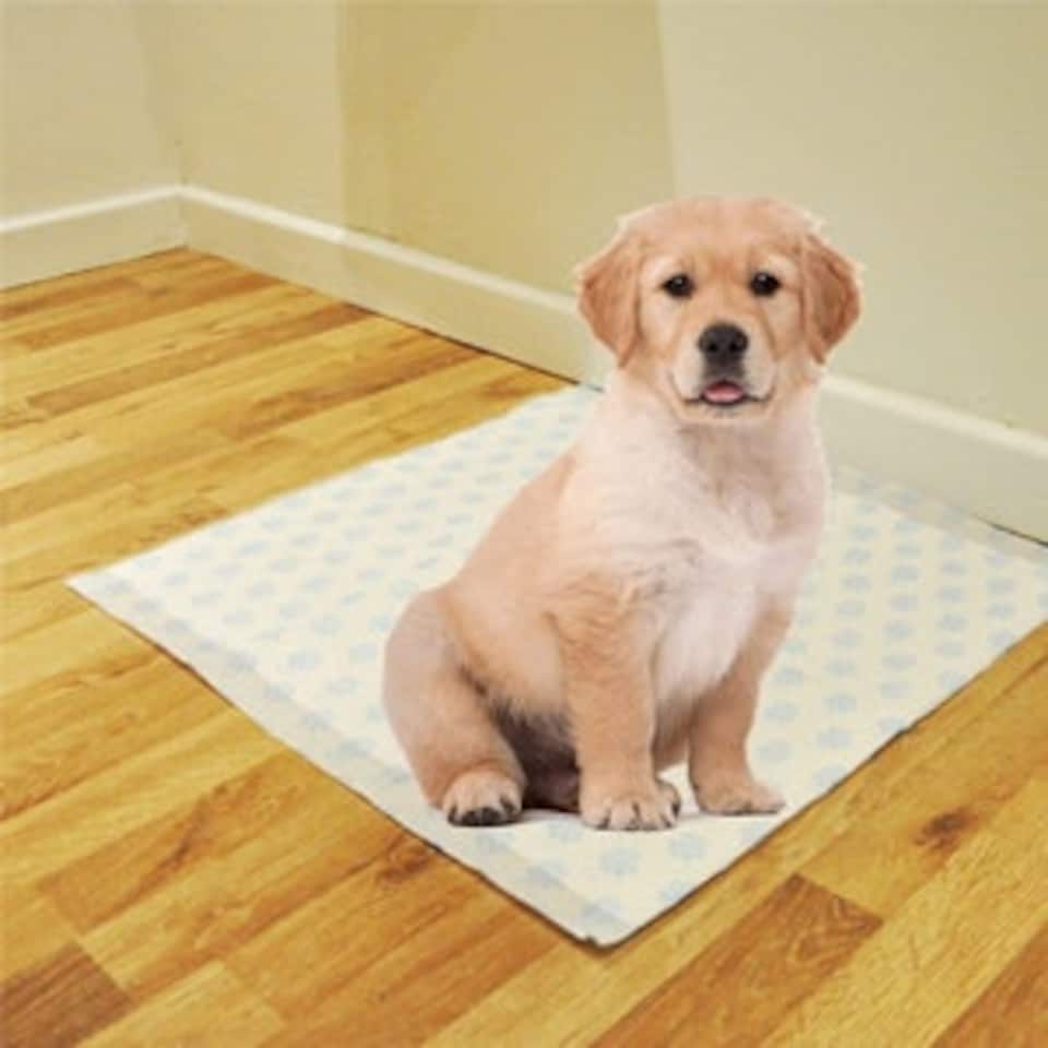 image 1 of 60 Sheets of 60x40cm 3 Highly Absorbent Layers Of Hygienic Easy To Dispose Leak Proof Dog Puppy Toilet Training Pads