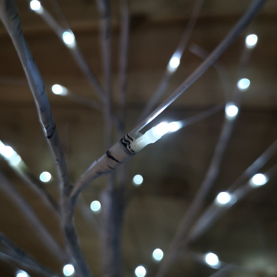 image 1 of 1.8m (6ft) Indoor Outdoor Christmas Lit Birch Tree with 80 Ice White LEDs