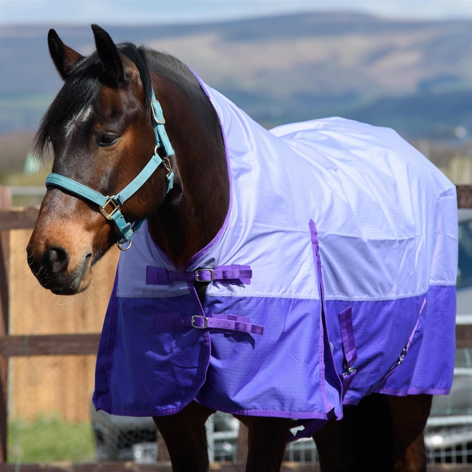 image 1 of eQuitack 600D Waterproof Horse Turnout Rug 0g No Fill Half Neck Lavender/Purple 6'9''