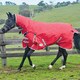 image 2 of Weatherbeeta Comfitec Lite Classic Combo Neck Turnout Rug - Red/Silver/Navy - 4 ft