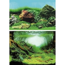 Superfish Deco Poster C (Mossy Aquascape) N/A | 100cm x 49cm