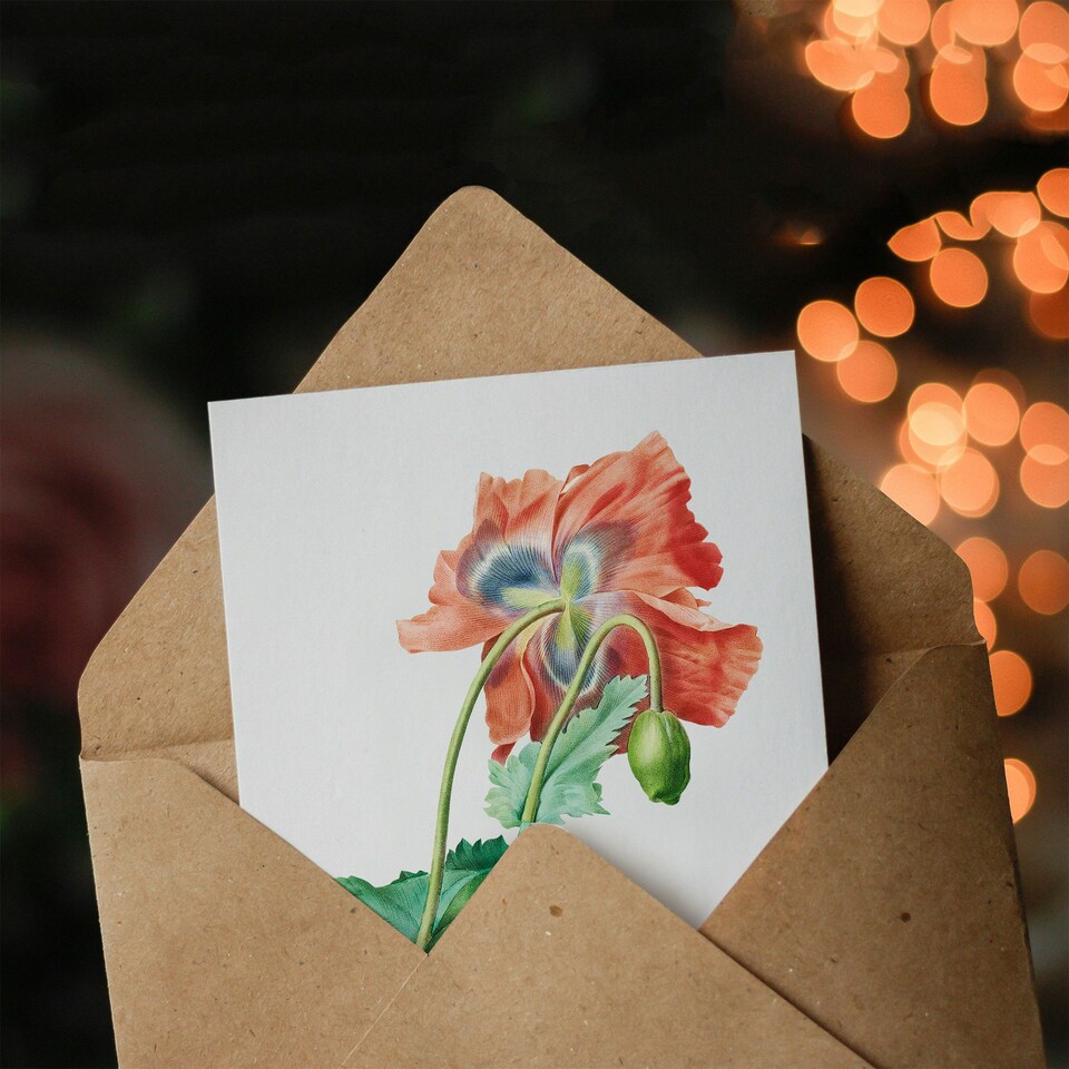 image 1 of Pierre-Joseph Redouté Art Card Poppy Flower Vintage Botanical