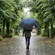 image 6 of 68.5cm Assorted Double Canopy Golf Umbrella