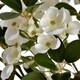 image 3 of Hill Interiors Artificial Spring Orange Flower - White - One Size