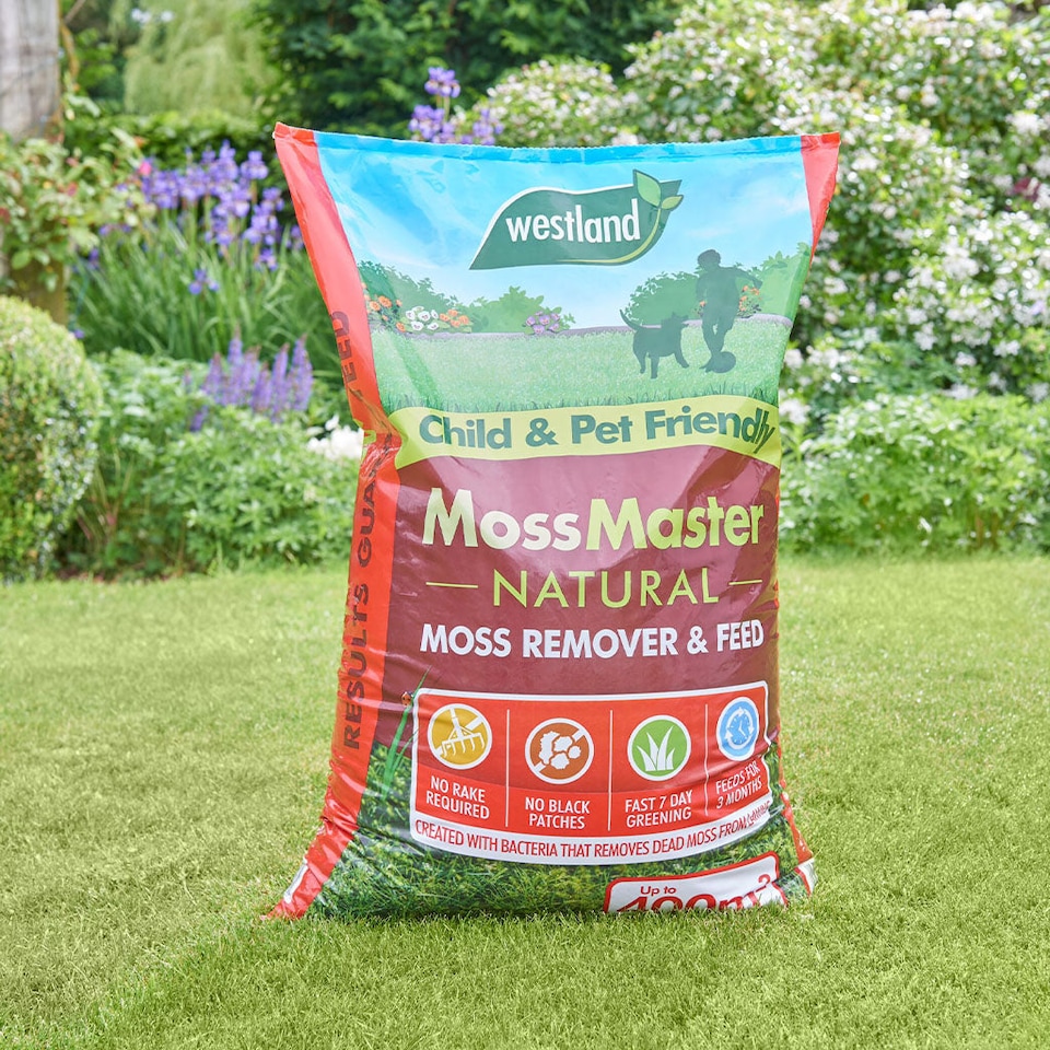 image 1 of Westland Moss Master Natural Moss Remover and Slow-Release Lawn Feed 400 sqm