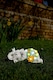 image 2 of Pack of 6 Solar Elephant Garden Ornament | Grey | One Size