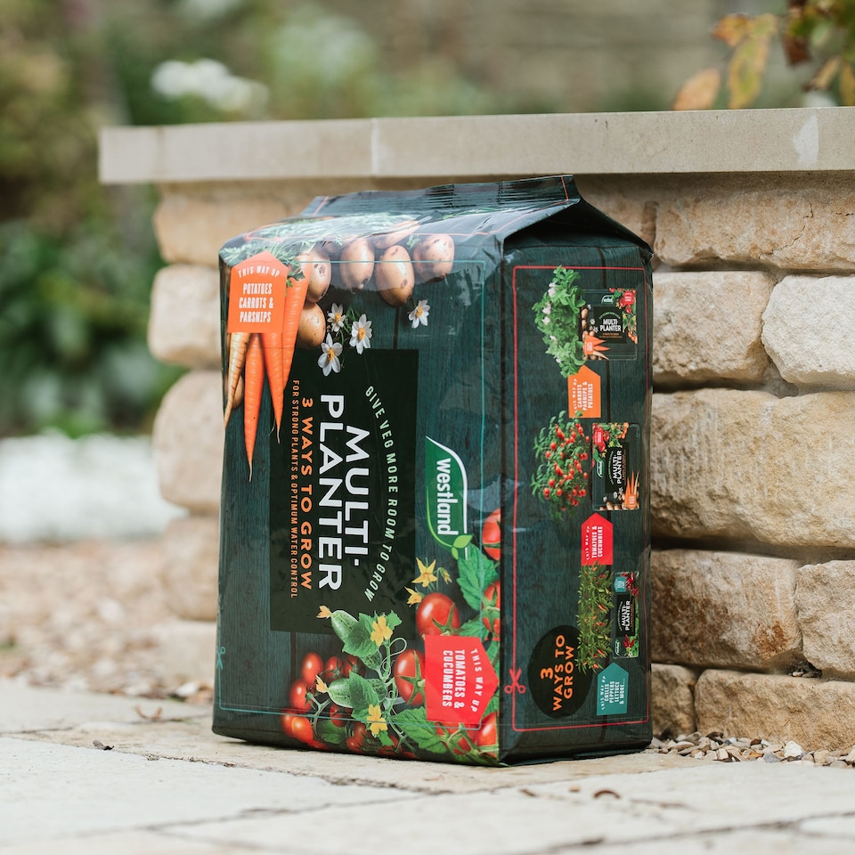 image 1 of Westland Peat Free Multi-Planter Medium 40 Litre