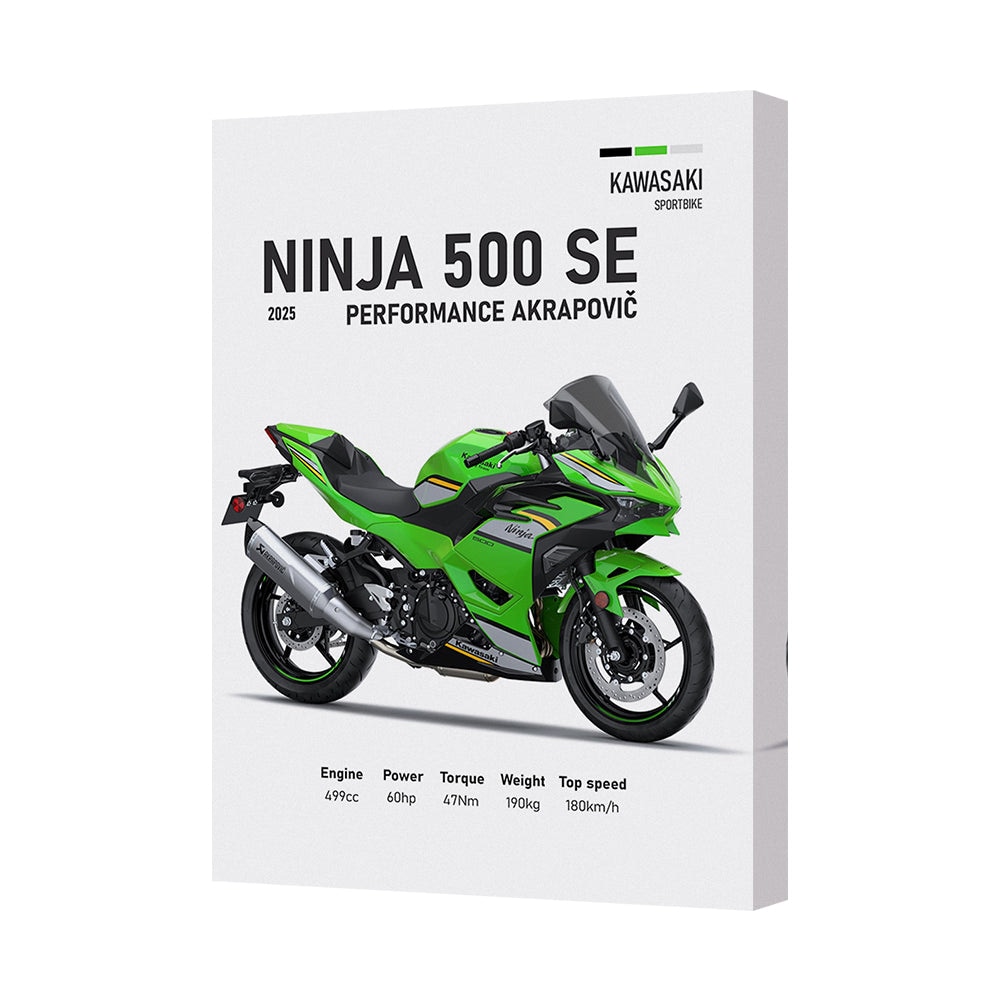 Kawasaki Ninja 500 SE Canvas Wall Art Print Motorcycle Decor