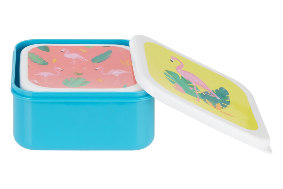 image 1 of Interiors by Premier Stackable Design Set Of 4 Flamingo Lunch Boxes, Versatile Assortment Of Multisized PP Lunch Boxes