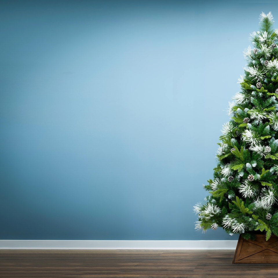 image 1 of Christmas Tree World  9ft/270cm Snowy Scots Pine Christmas Tree