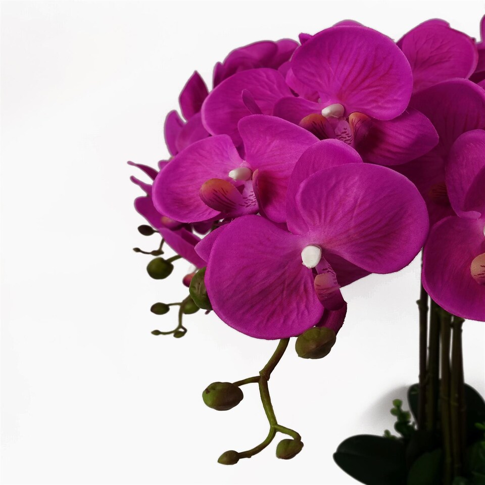 image 1 of 85cm Artificial Deluxe XL Orchid - Dark Pink