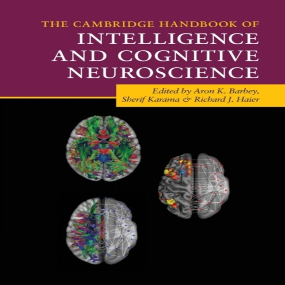 The Cambridge Handbook Of Intelligence And Cognitive Neuroscience