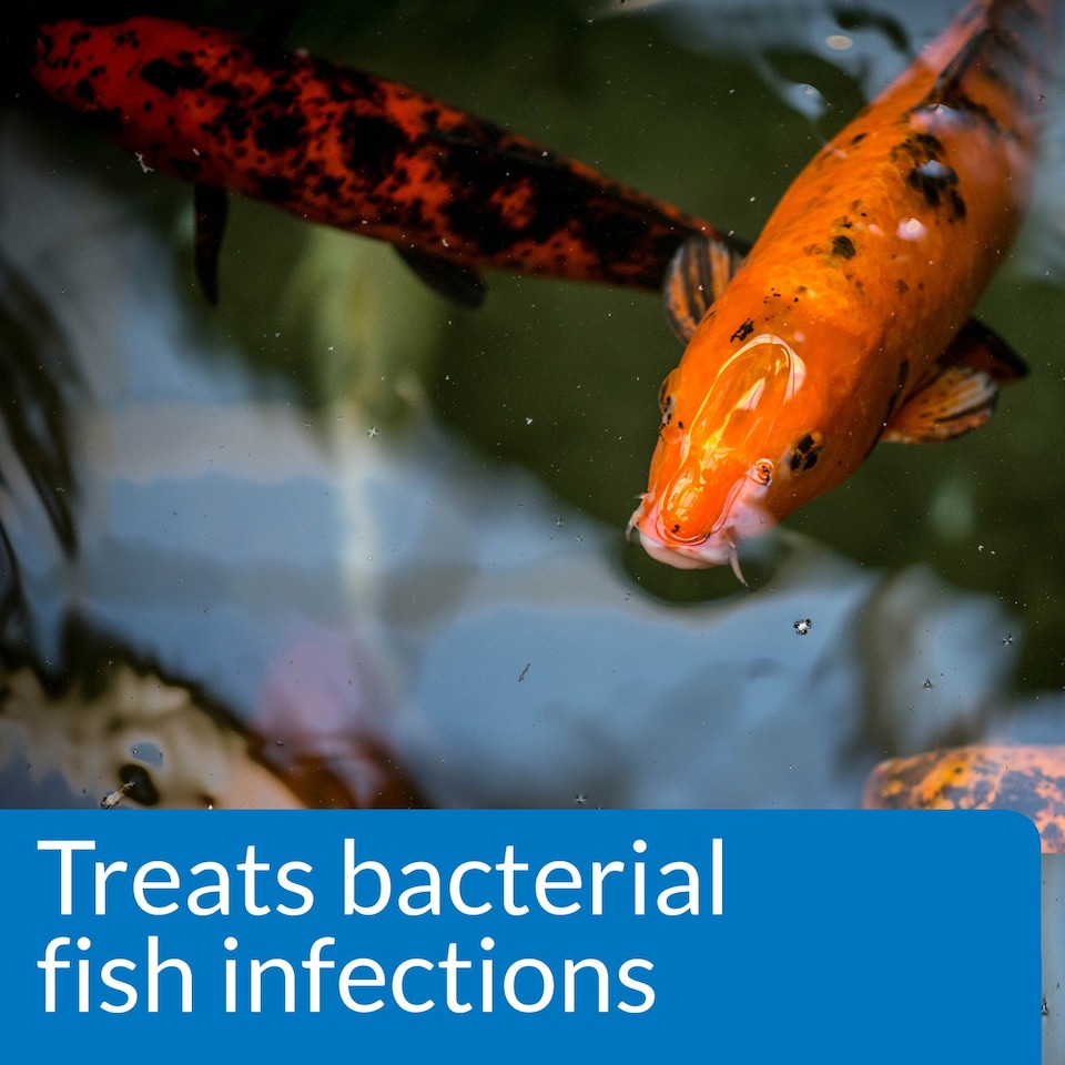 image 1 of 473ml API Pond Melafix Natural Botanical Treatment for Bacterial Infections in Pond Fish Pond Water Treatment