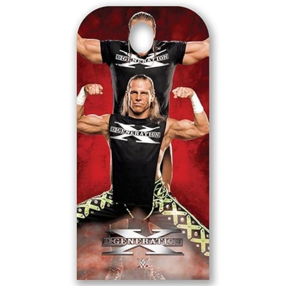 D-Generation X WWE Stand In Cardboard Cutout 193cm