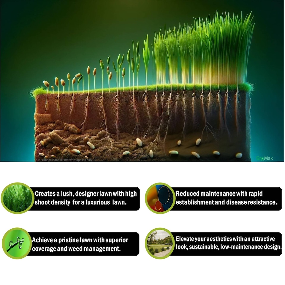 image 1 of Pegdev ProDesigner Luxury Grass Seed Elegant Designer Lawn High Density 250g