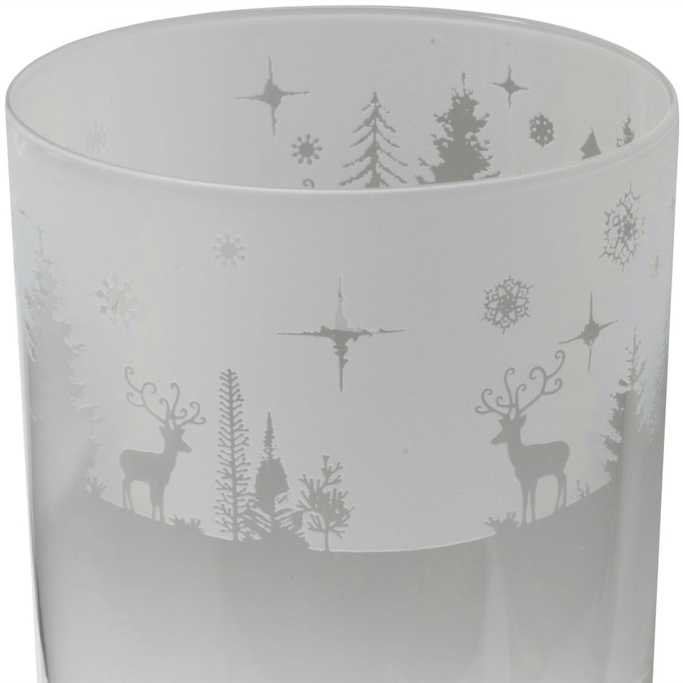 Animo Glass Highball Glass Etched Tumbler Winter Wonderland