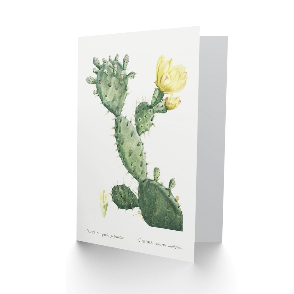 image 1 of Pierre-Joseph Redouté Art Card Opuntia Polyanthos Cactus