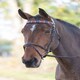 image 7 of Shires Blenheim Leather Polo Browband Blue | Size: X-Full
Colour: Pink/Natural/Navy