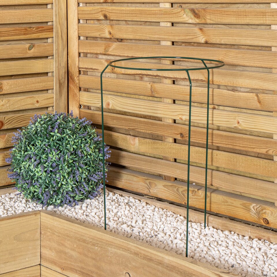 image 1 of Tom Chambers Urban Metal Herbaceous Garden Plant Support Ring Medium 30cm x 50cm