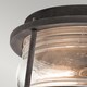 image 2 of Ashland Bay 1 Light Bathroom Flush Outdoor Ceiling Light Zinc IP44, E27