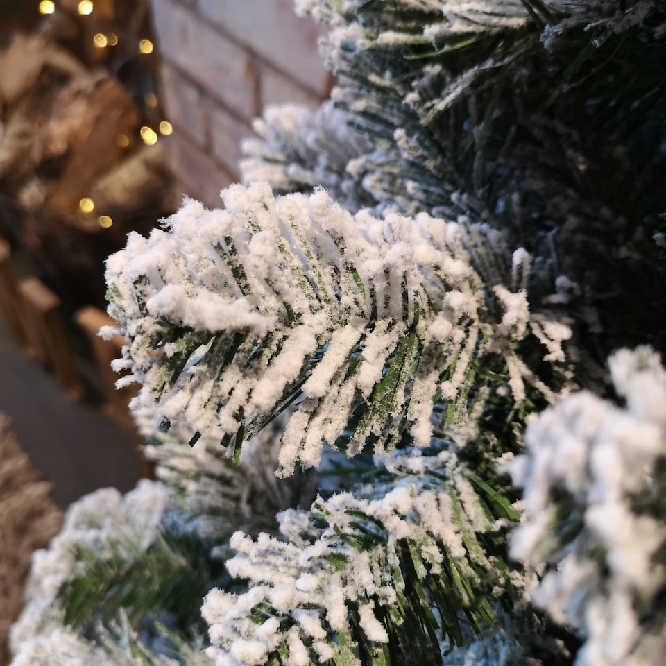 image 1 of Kaemingk 6ft (180cm) Flocked Snowy Imperial Pine Hinged Christmas Trees