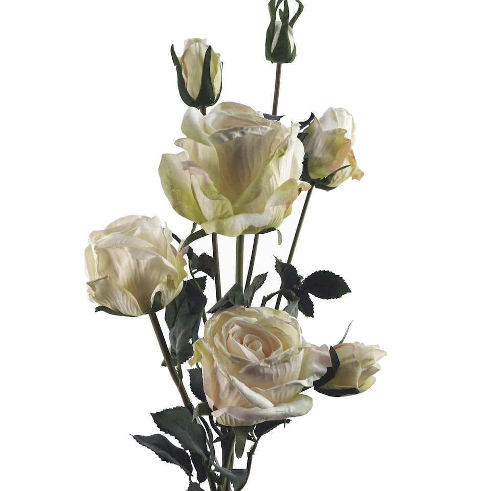image 1 of 6 x 60cm Cream Rose Artificial Flower Sprays - 24 Flowers 18 Buds