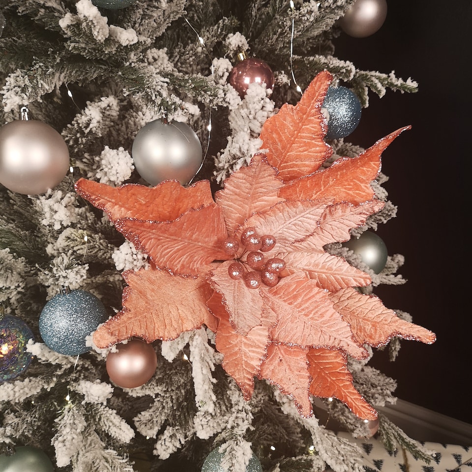 image 1 of 68cm Frosted Light Coral Pink Poinsettia Stem Christmas Decoration