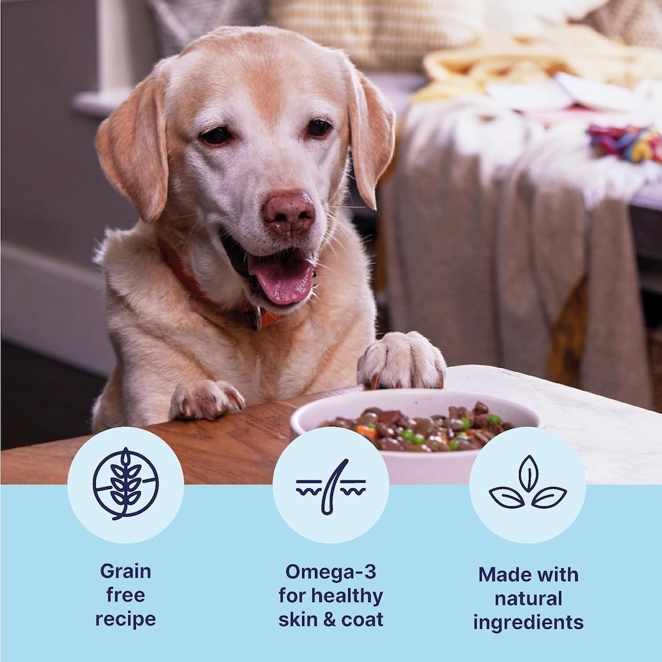 image 1 of 33 x 150g Tails.com Inner Vitality Grain-Free Adult Wet Dog Food Trays Beef