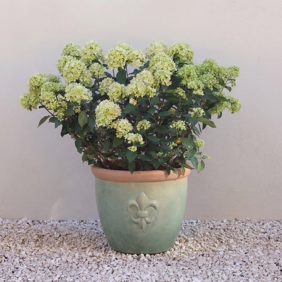 image 1 of Primrose Fiore Fleur De Lys Patterned Ceramic Planter in Green 42cm | Green | Green