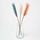 image 1 of Homescapes Artificial Pampas Grass Set of 3 Multi-Coloured, 78 cm