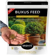 Buxus Feed Controlled-Release Fertiliser Plant Food Box Hedges & Topiary Easy-Apply Granules for Dense Healthy Growth 120g Pouch