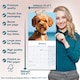 image 6 of Cavapoo 2026 Calendar | Square Wall Calendar | Dog Breed Gift | Plastic Free Packaging | by Avonside Publishing