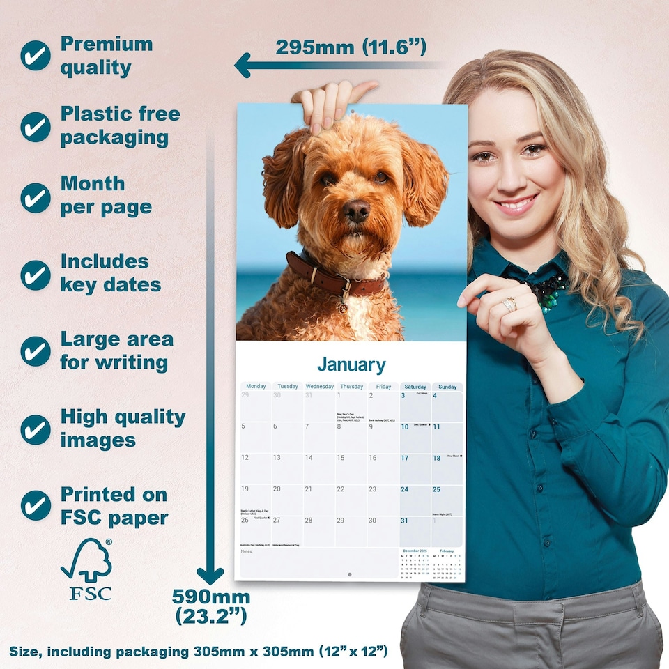image 1 of Cavapoo 2026 Calendar | Square Wall Calendar | Dog Breed Gift | Plastic Free Packaging | by Avonside Publishing