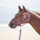 image 7 of Shires Topaz Nylon Headcollar | Black | Pony