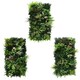 image 1 of True Products Combo Set of 3 Premium Artificial Living Wall Green Plant Panel 1m x 50cm Florence A B C