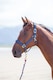 image 7 of Shires Topaz Nylon Headcollar | Red | Pony