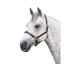 Blenheim Ragley Leather Horse Headcollar - Havana - Cob